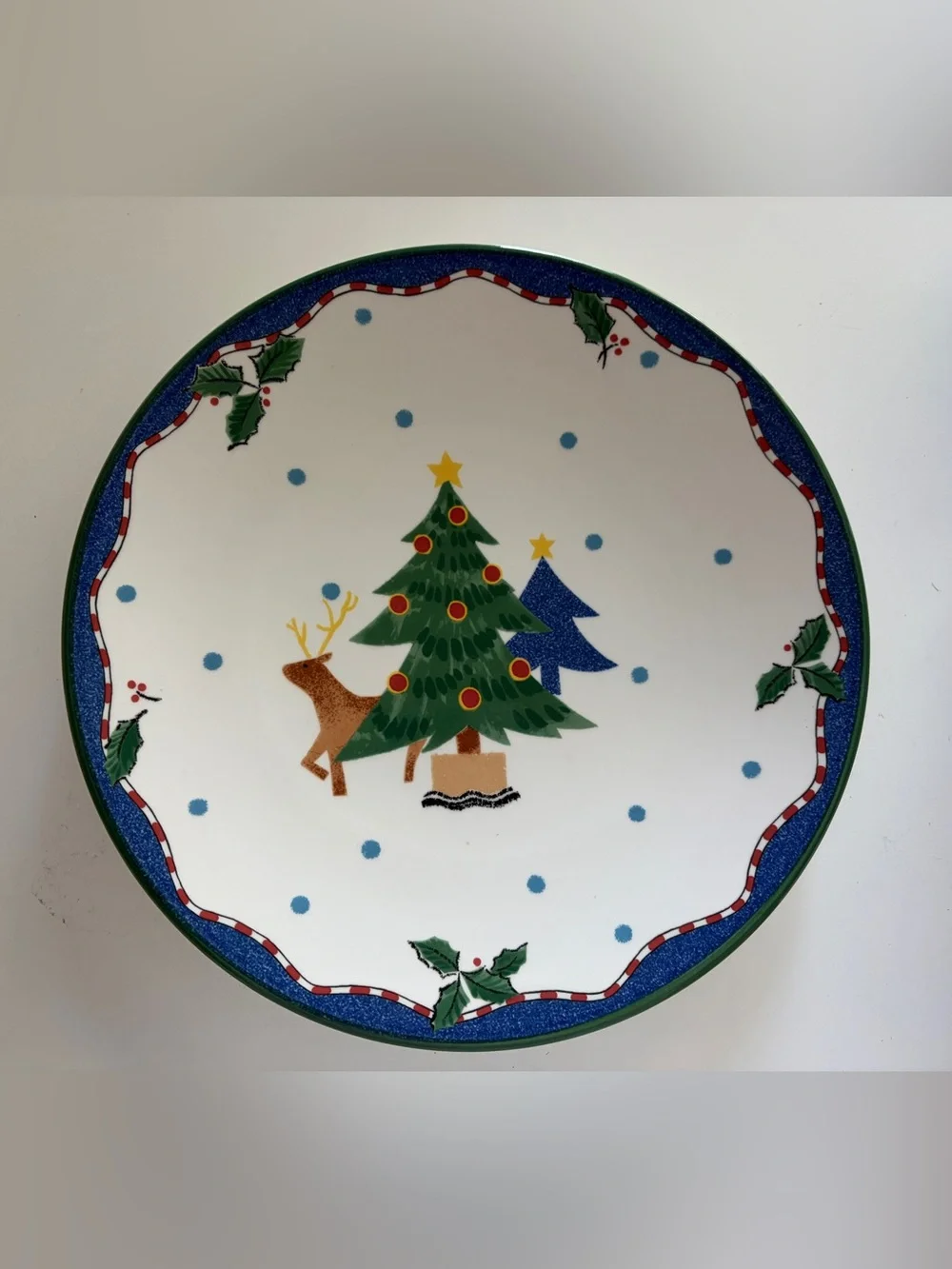 Rare Mikasa DW108 “Christmas Glow” 24 Pieces: 8 place settings.